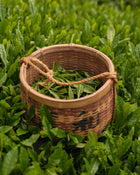 Premium Ceremonial Grade Matcha