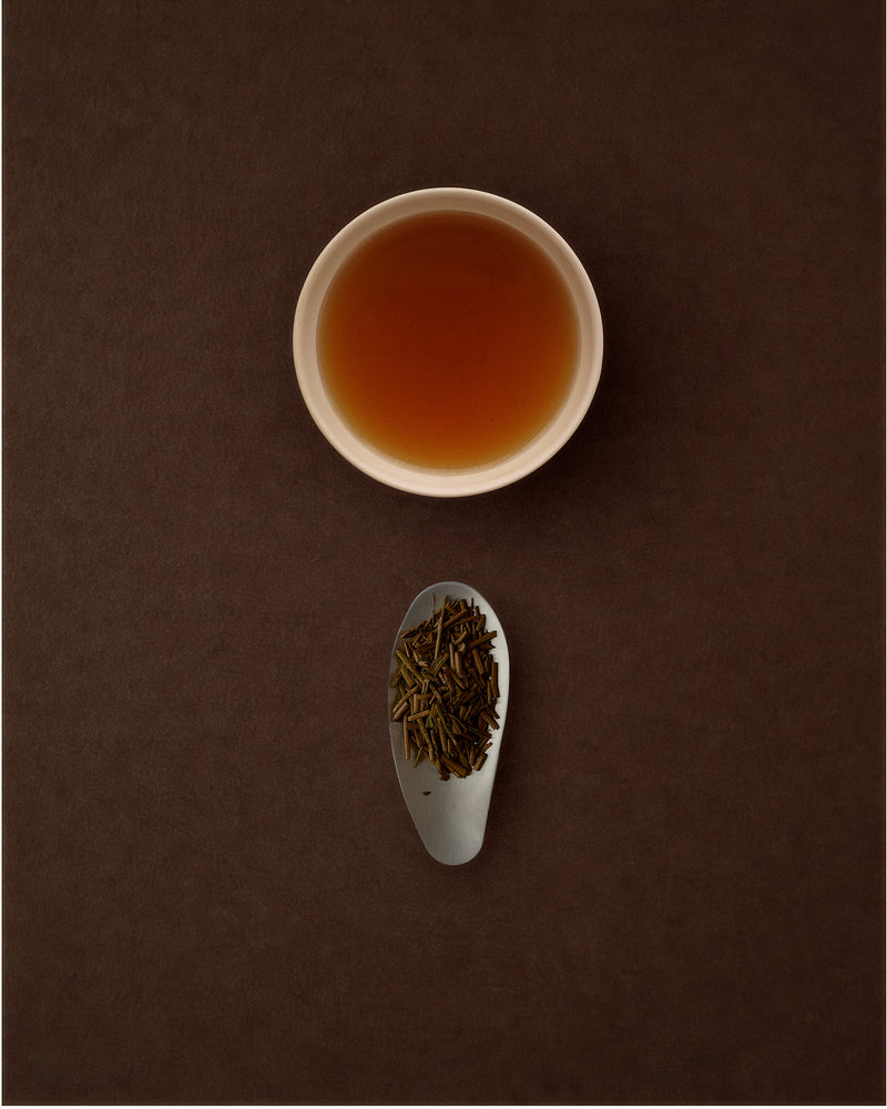 Single-Origin Hojicha